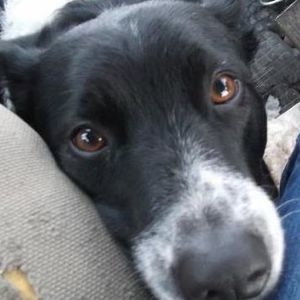 Meet your Posher, Debbie